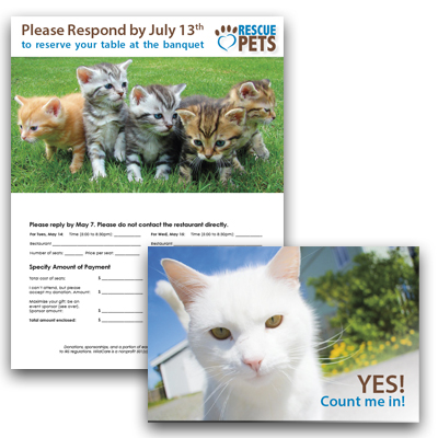 Reply Card Reply Card
