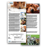 A7 Appeal Letter with Reply Slip 2