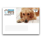 A7 Window Envelope 2
